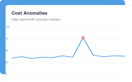 Cost Anomalies