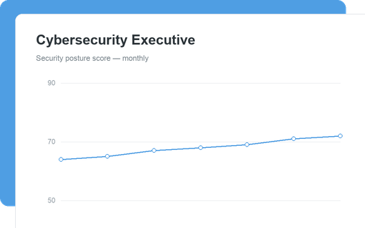 Cybersecurity Executive