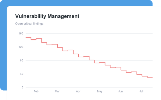 Vulnerability Management